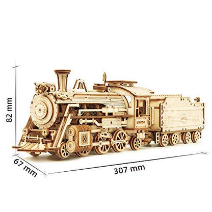 ROKR 3D Puzzle Express Steam Locomotive Wooden Puzzle Model Kit - locomotive wood assembly kit - Christmas birthday gift for teens and adults