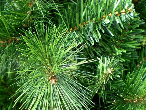 RS Trade 1101 Colorado Mix 120 cm Christmas tree PVC artificial (Ø approx. 76 cm) with 446 tips - quick assembly folding system, flame retardant, fake fir tree including metal stand.