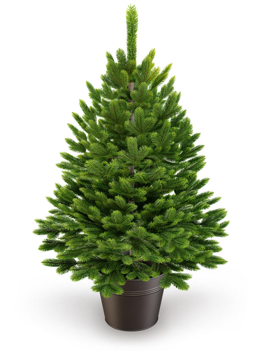 ArtiTree - Artificial Christmas tree in a pot - Christmas tree for indoor and outdoor use, artificial tree for Christmas decorations, realistic appearance.