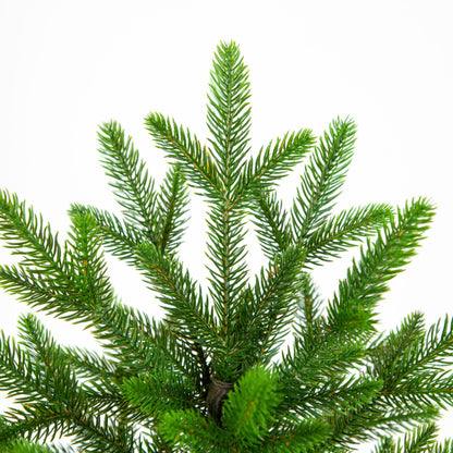 EveXmas- Onyx- 85cm- High-quality artificial Christmas tree- Easy to assemble Beautiful tree tips made from 100% PE injection moulding- Very natural looking tree