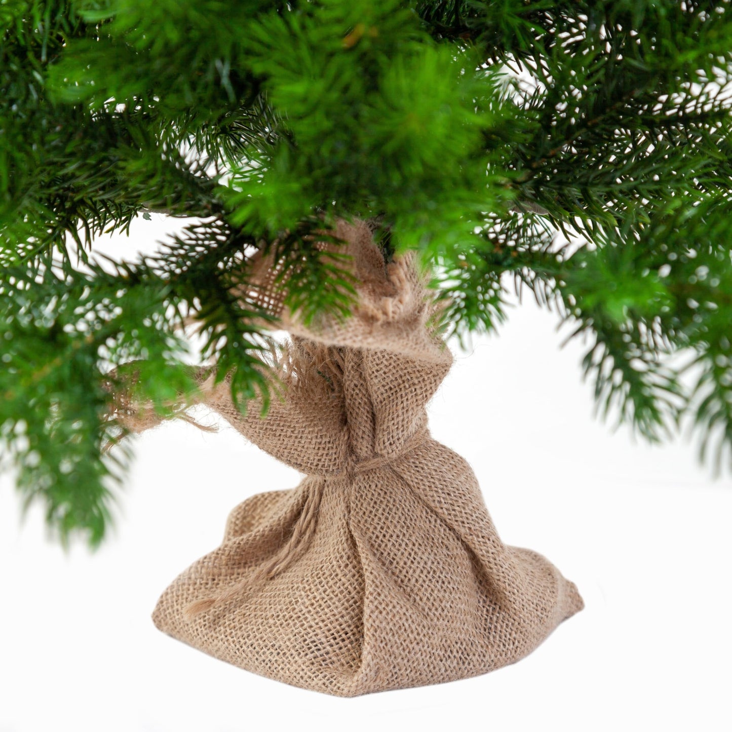 EveXmas - Altair 65cm - Artificial Christmas Tree Realistic Mini Pine Tree made of 100% PE injection-molded needles, Premium Tabletop Christmas Tree for Home Christmas Decor.